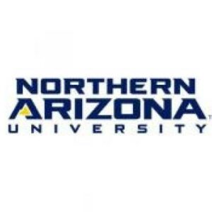 Northern Arizona University Cornhole Boards