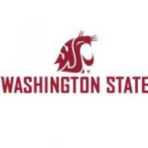Washington State University Cornhole Boards