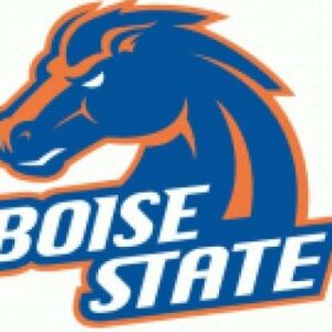 Boise State University Cornhole Boards