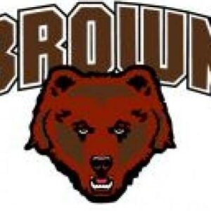 Brown University Cornhole Boards