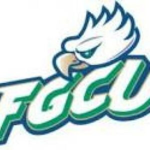 Florida Gulf Coast University Cornhole Boards