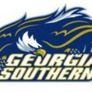 Georgia Southern University Cornhole Boards
