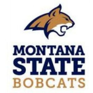 Montana State University Cornhole Boards