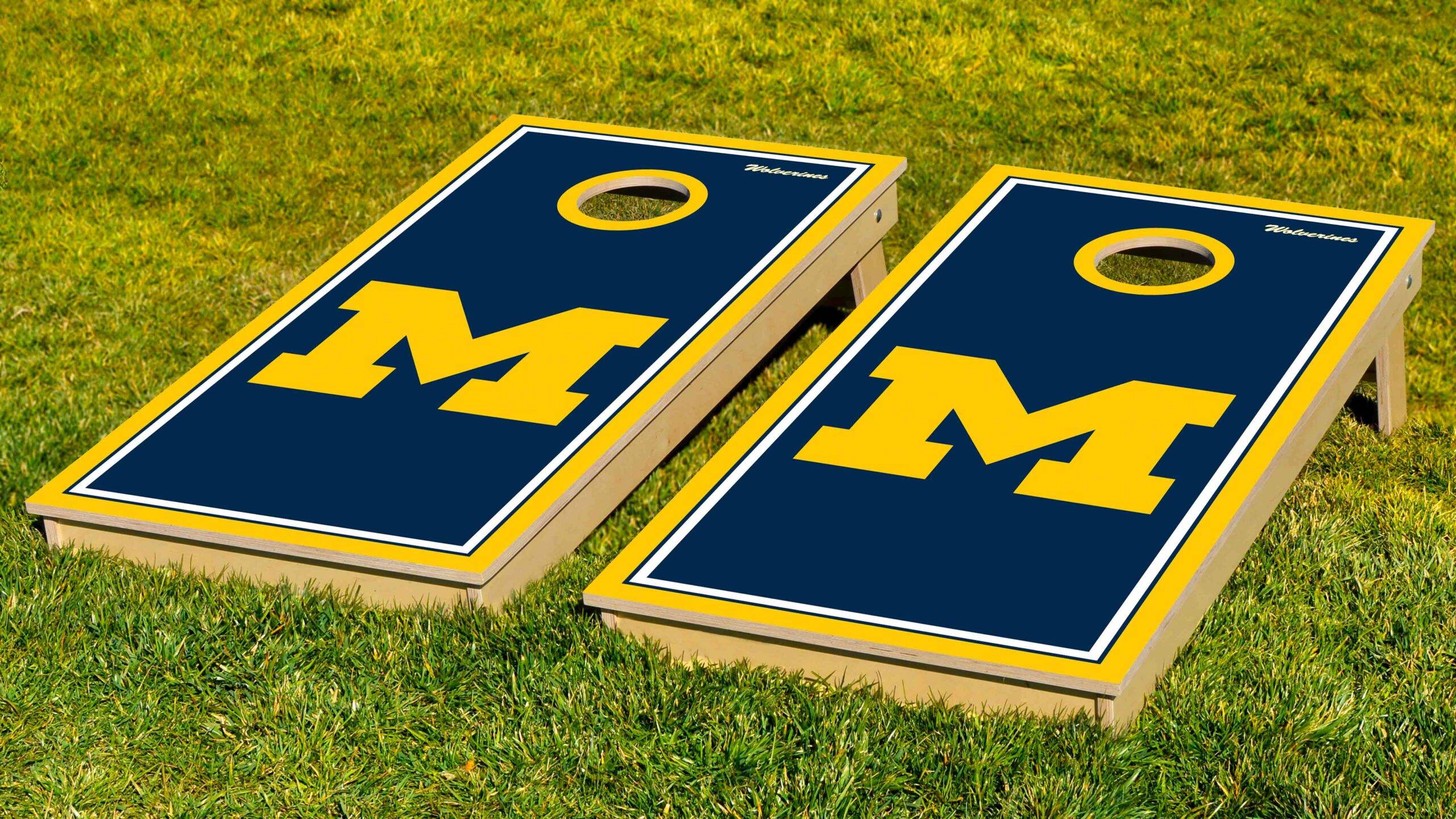 Blue and Yellow Cornhole Bags