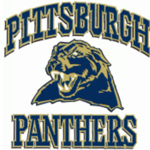 University of Pittsburgh Cornhole Boards