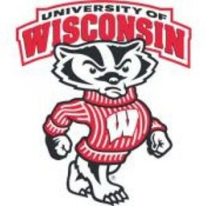 University of Wisconsin Cornhole Boards