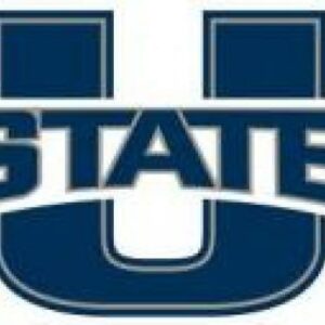 Utah State University Cornhole Boards