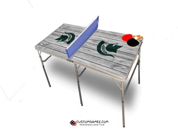 Michigan State University Ping Pong Table Alternate